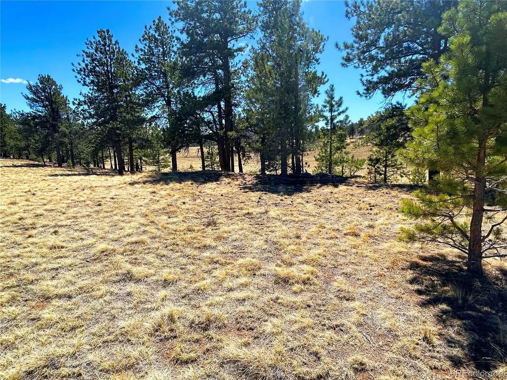 Singletree Road, Buena Vista