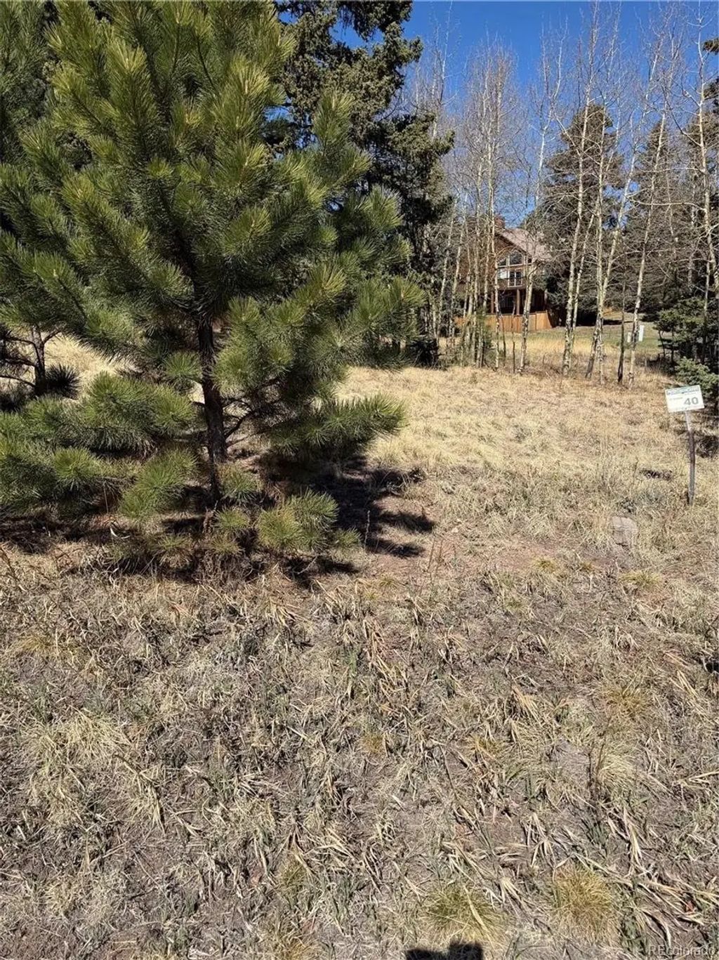 405 Meadow Park Drive, Divide