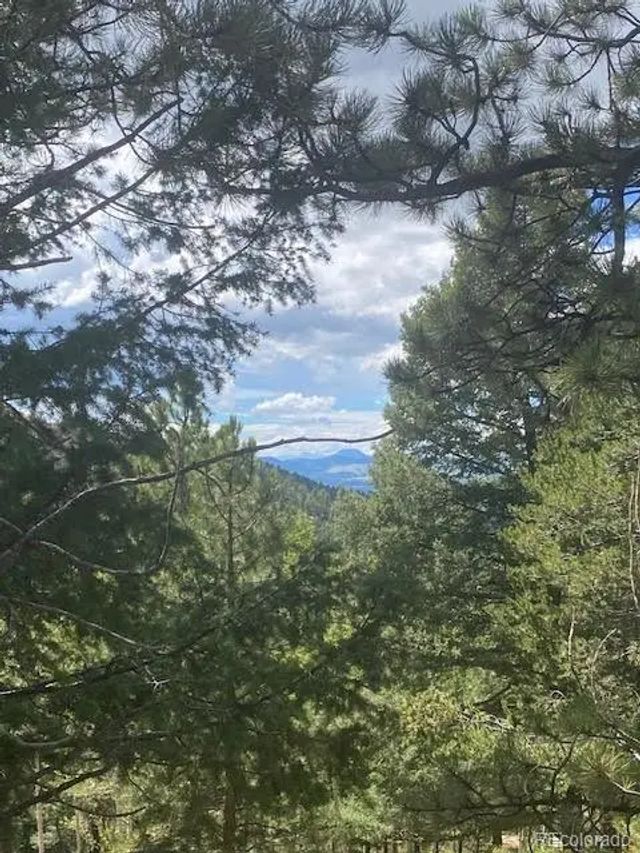 216 & 252 Troy Drive, Cripple Creek
