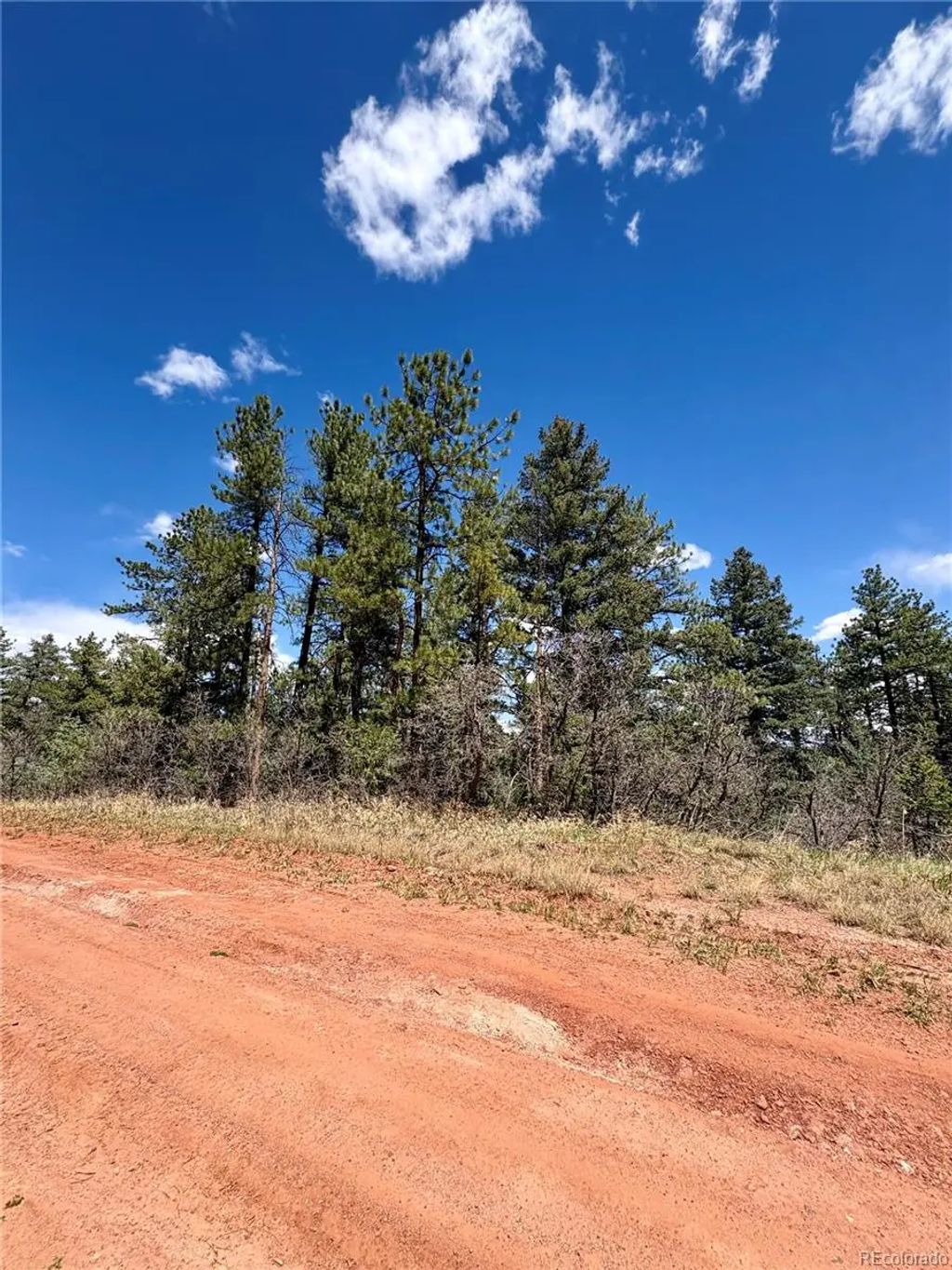 8200 Acoma Drive, Larkspur