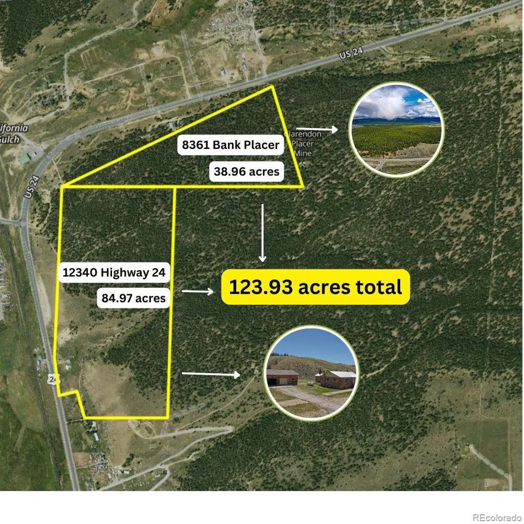 8361 Bank Placer, Leadville