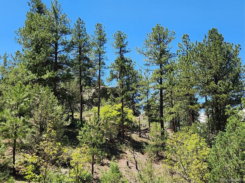 102 Kevin Drive, Cotopaxi