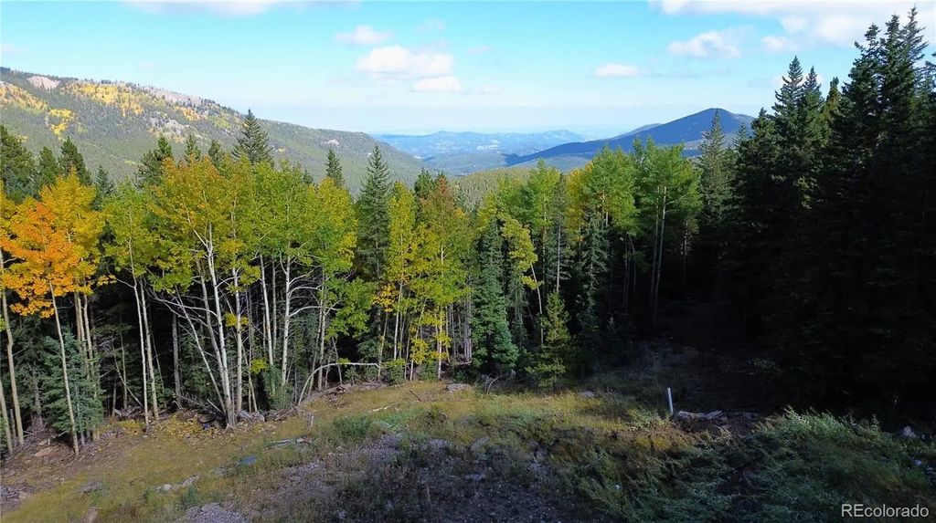 429 Sawmill Lane, Idaho Springs