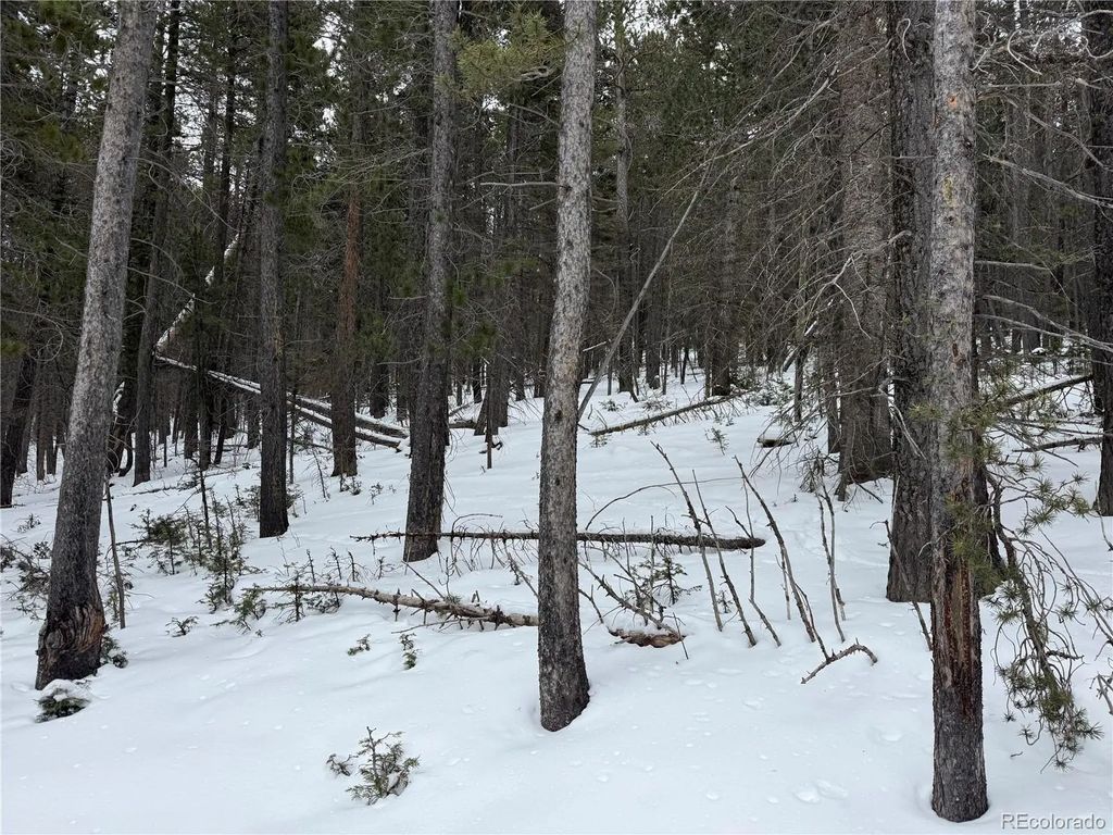 Lot 2759 Purnell Lane, Fort Garland