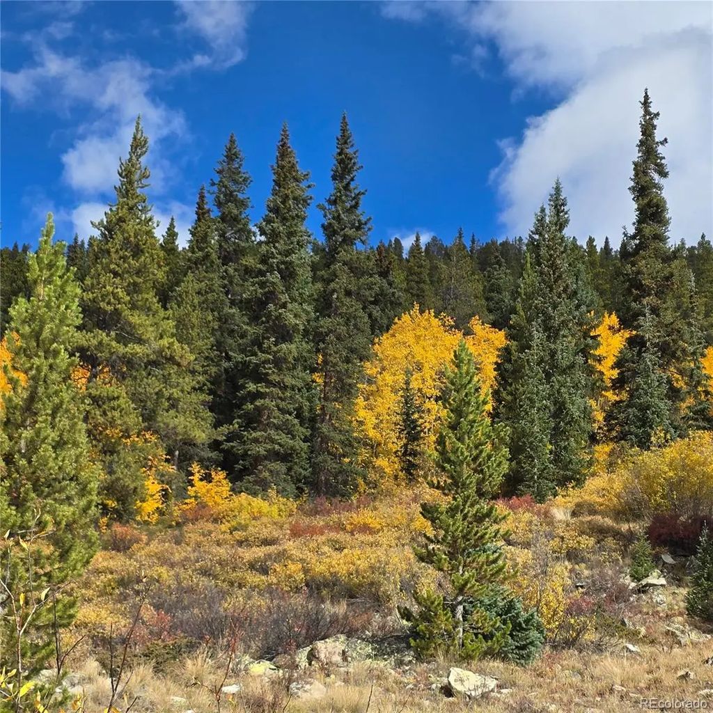 5347 Monitor Lode Claims, Leadville