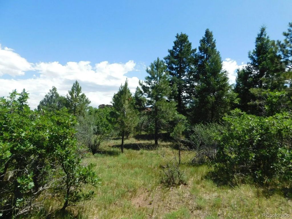 6447 Thunderbird Road, Larkspur