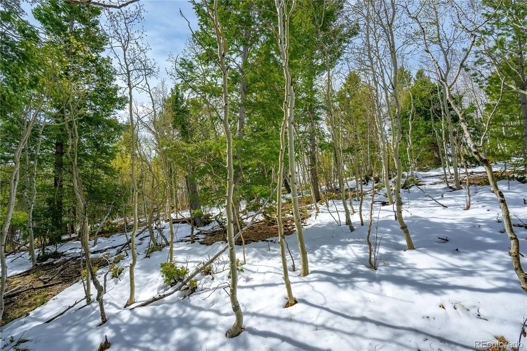 192 Deadwood Road, Cripple Creek