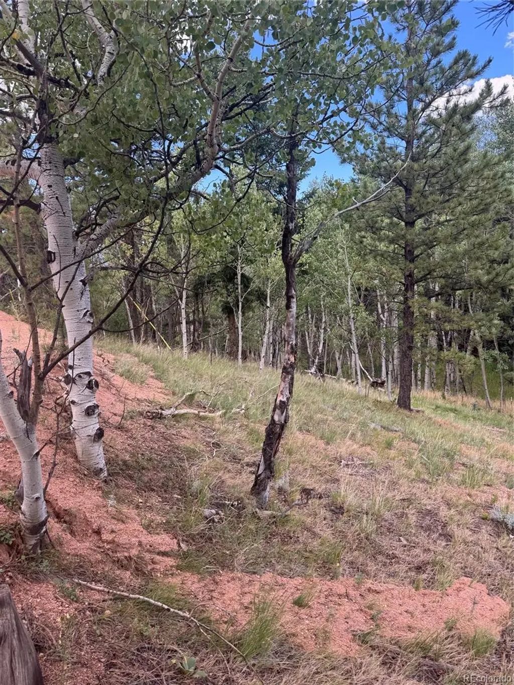 40 Sequoia Trail, Woodland Park