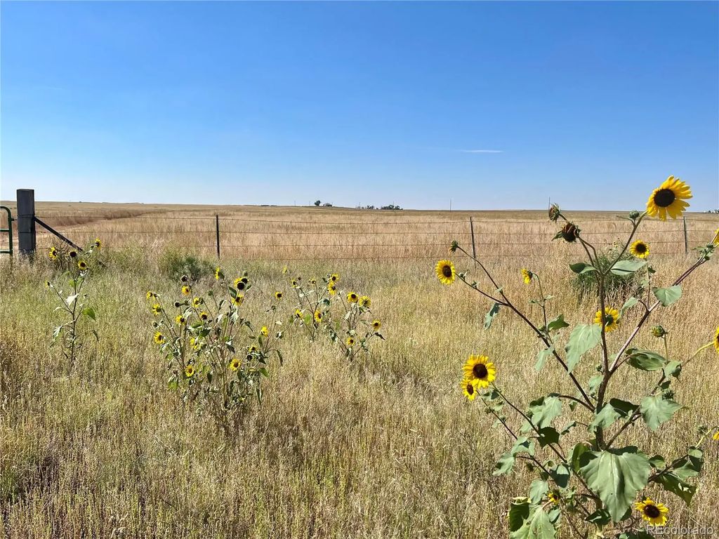 46850 County Road 46, Limon