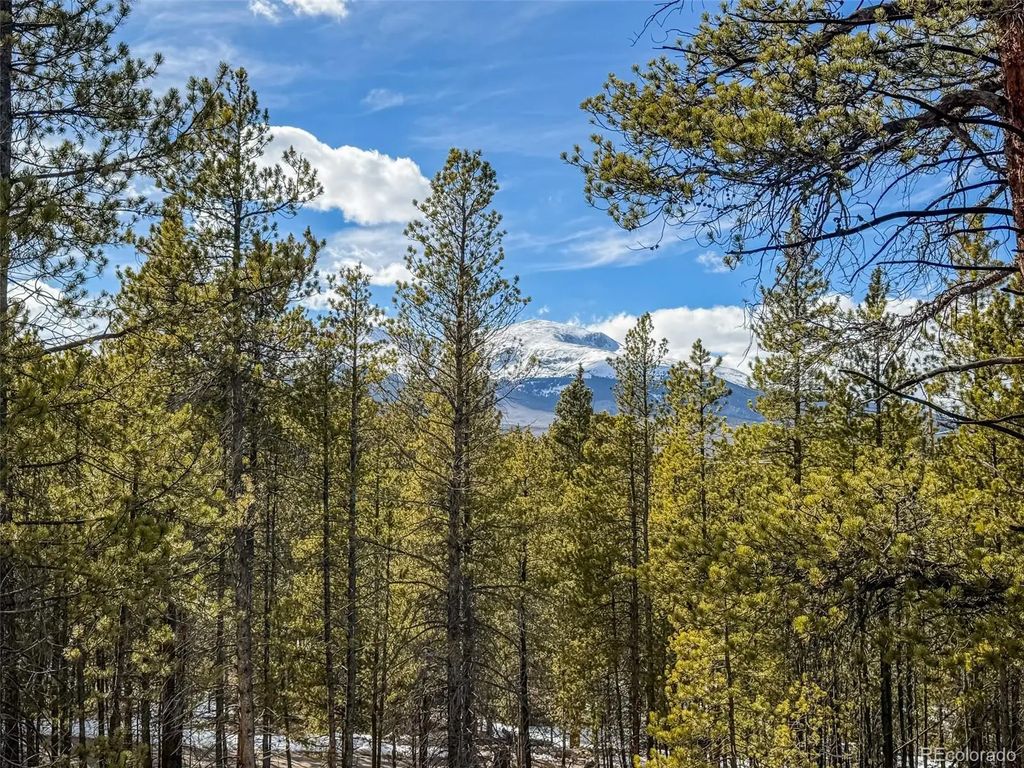 483 Mt Massive Road, Twin Lakes
