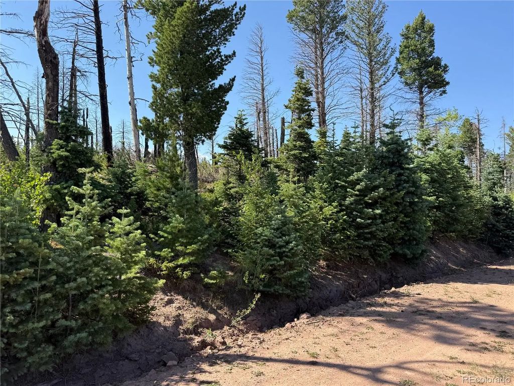 Lot 2498 Gilmartin Lane, Fort Garland