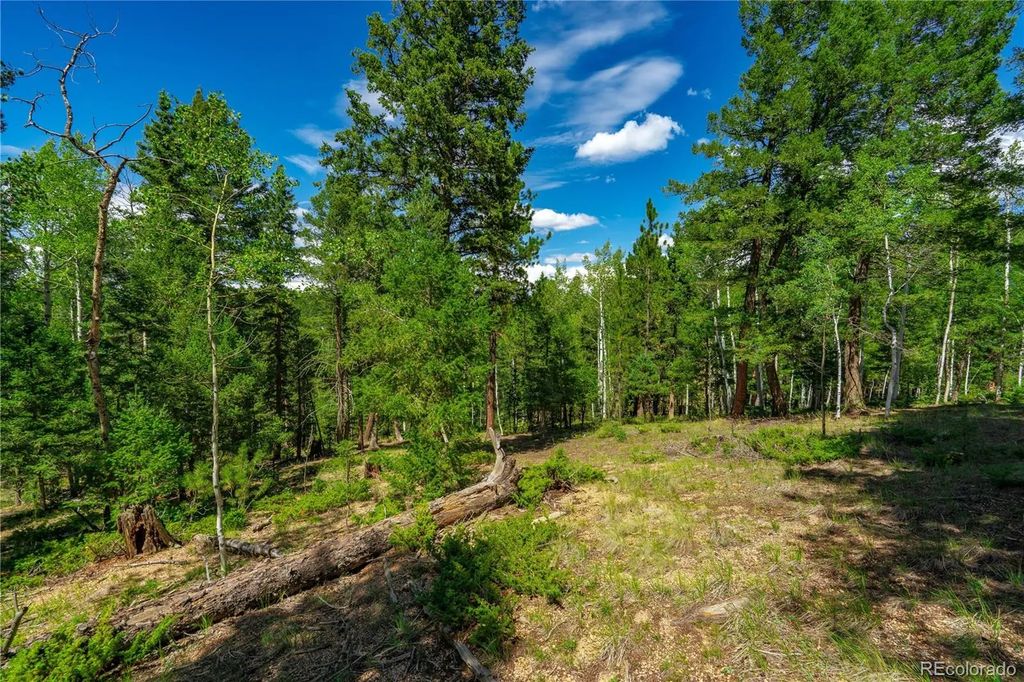 431 Cottonwood Lake Drive, Divide