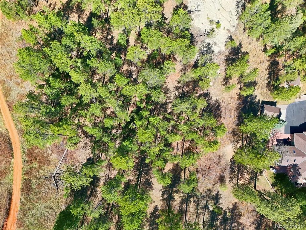4507 Cheyenne Drive, Larkspur