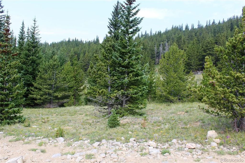 13620 Independence, Idaho Springs