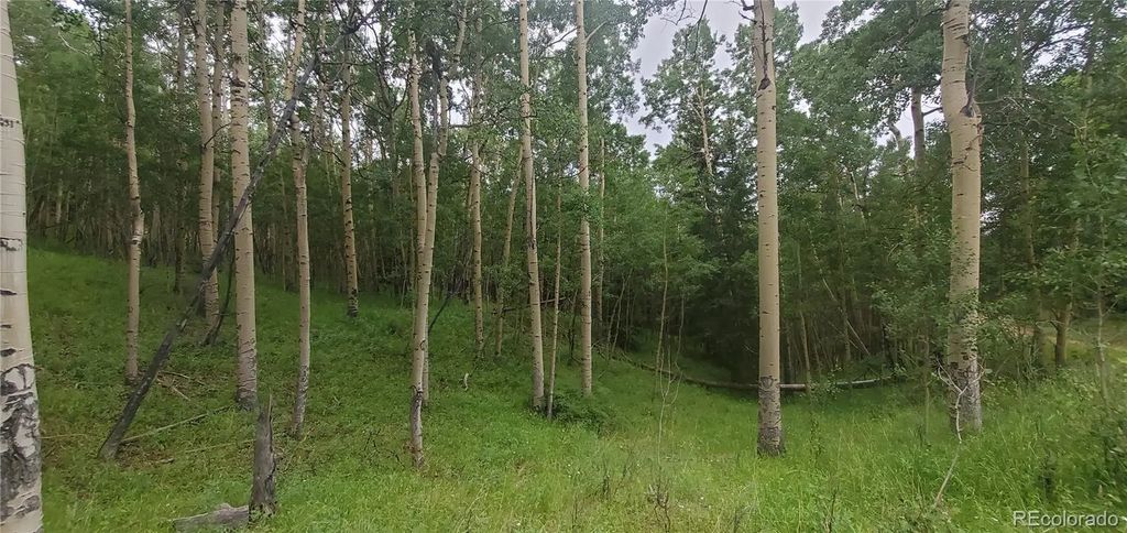 Lot 6882 Donna Road, Fort Garland