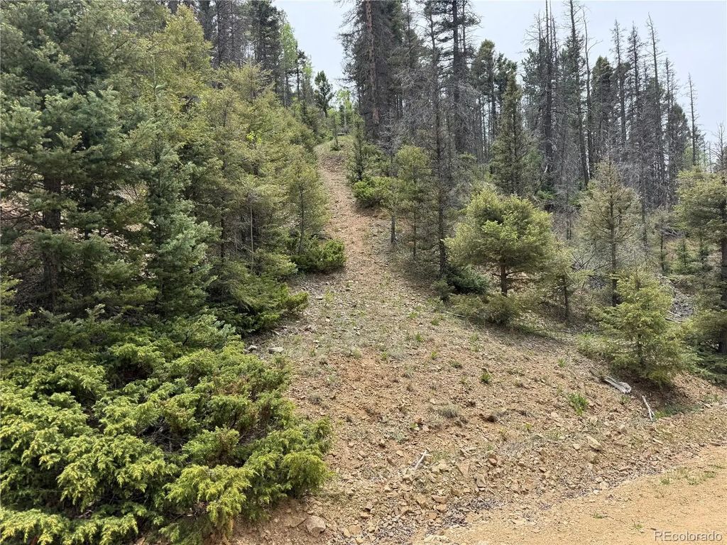Lot 6795 Starkweather Road, Fort Garland