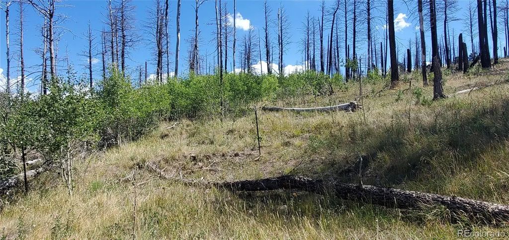 Lot 1064 Reed Lane, Fort Garland
