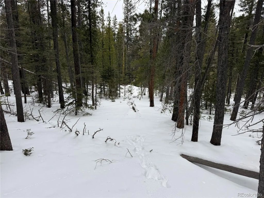 Lot 2806 Moir Drive, Fort Garland