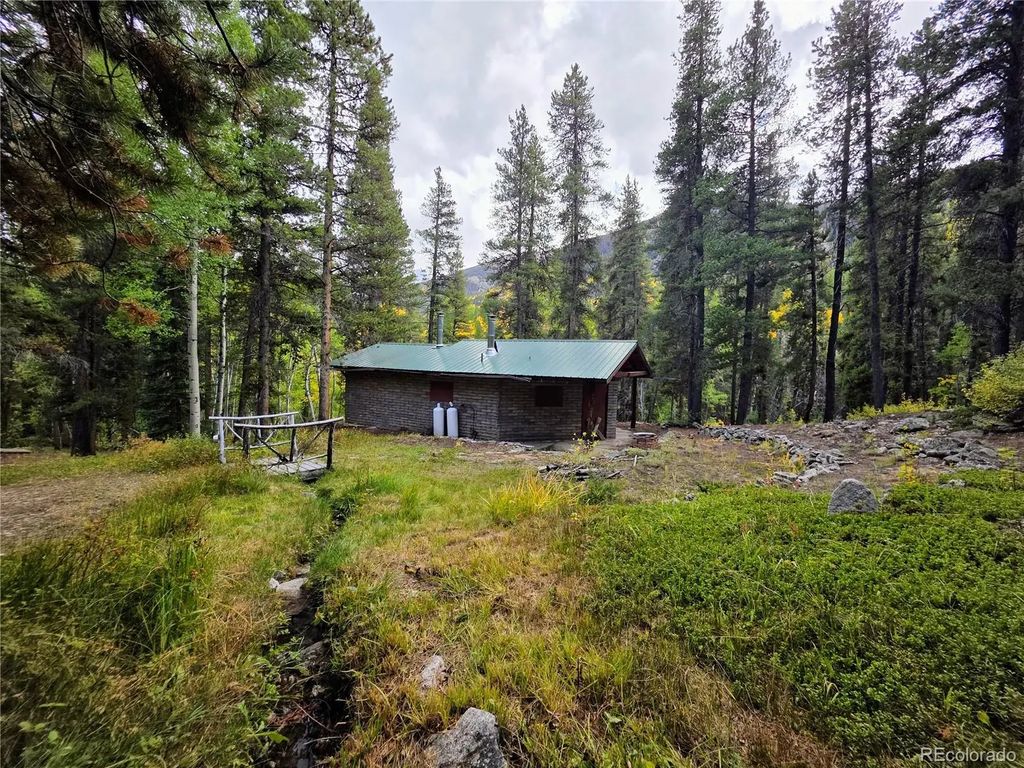 16101 Rob Roy Ms Mc, Nathrop