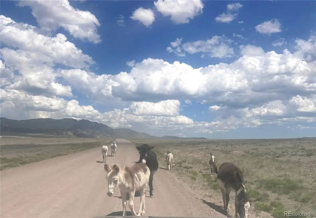 Parrot Drive, Alamosa