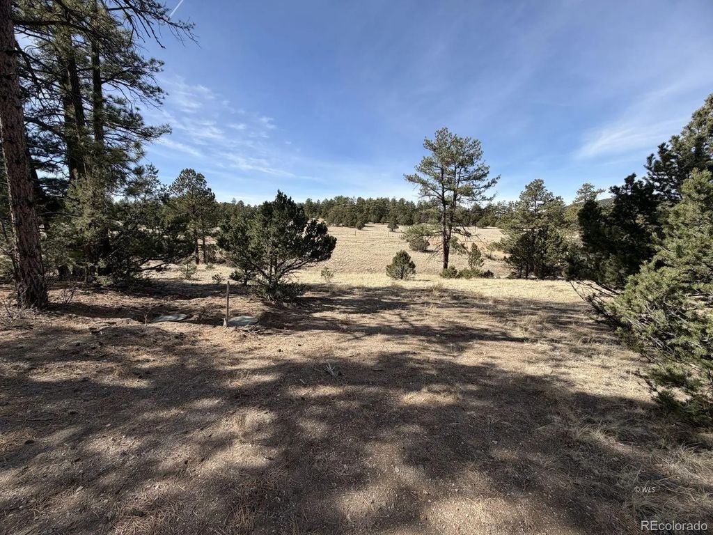 262 Harmon Drive, Cotopaxi