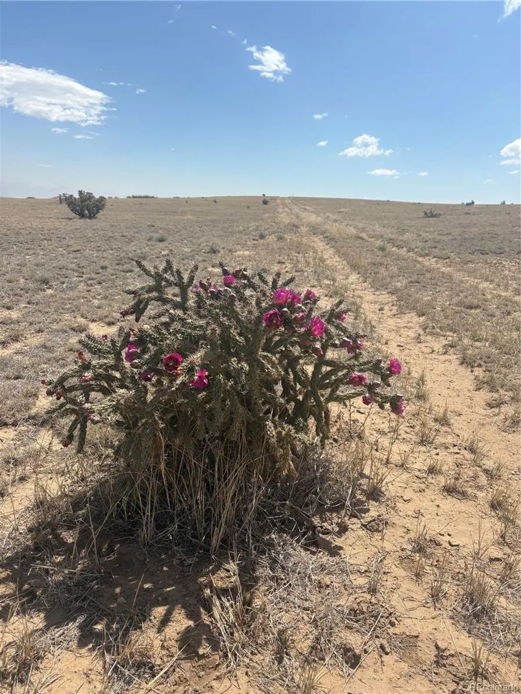 Lot 10 Cuerno Verde Ranches, Walsenburg