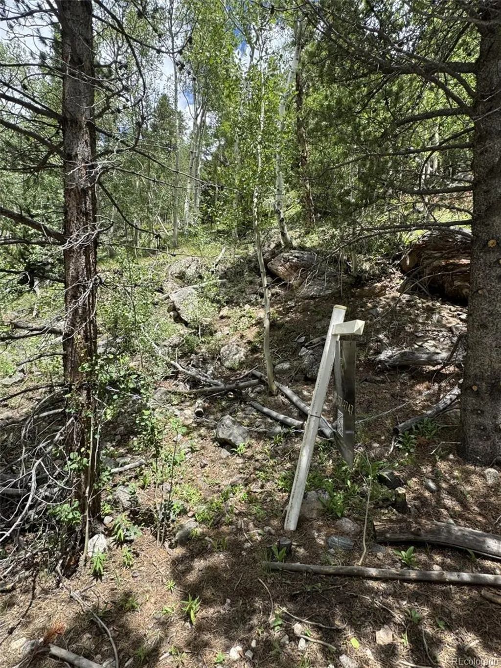 Loch Lomond Road, Idaho Springs