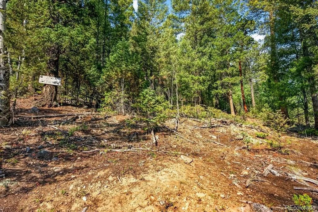 12907 S Cindy Avenue, Pine