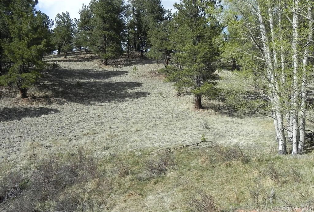1699 Monarch Drive, Cripple Creek