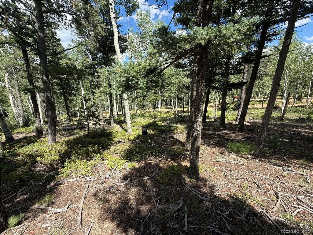 167 Big Bear Road, Manitou Springs