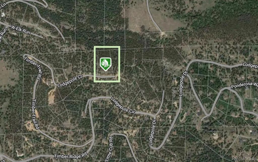 32593 Lodgepole Drive, Evergreen