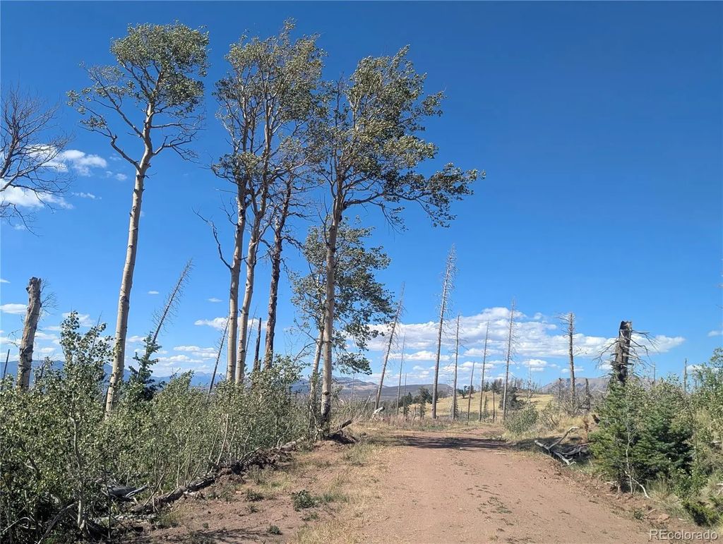 2553 Fine Place, Fort Garland