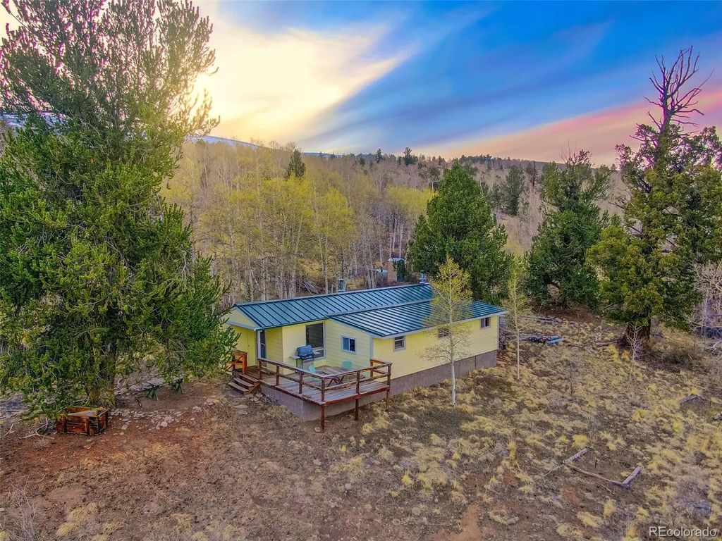26 Meadow Drive, Fairplay