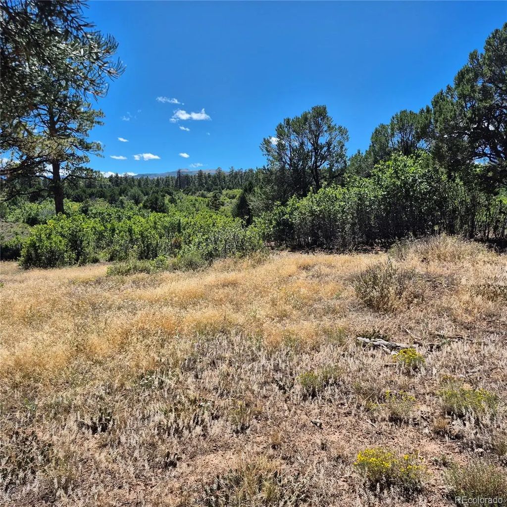 1620 Wildcat Canyon Road, Montrose