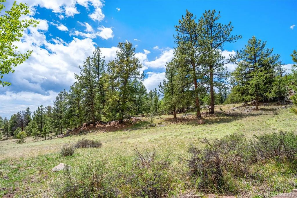 527 Plateau Drive, Guffey