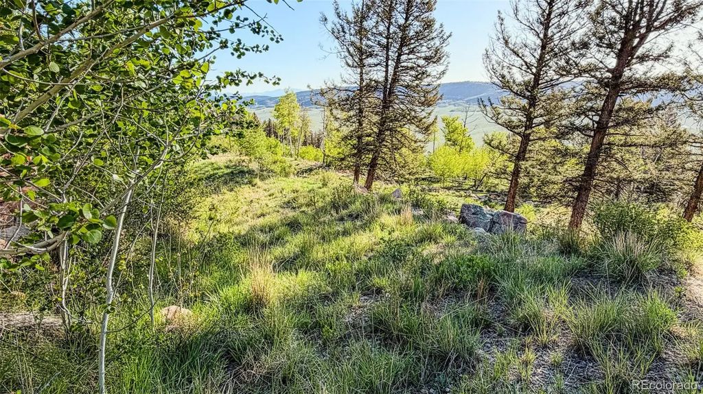 4924 Middle Fork Vista, Fairplay
