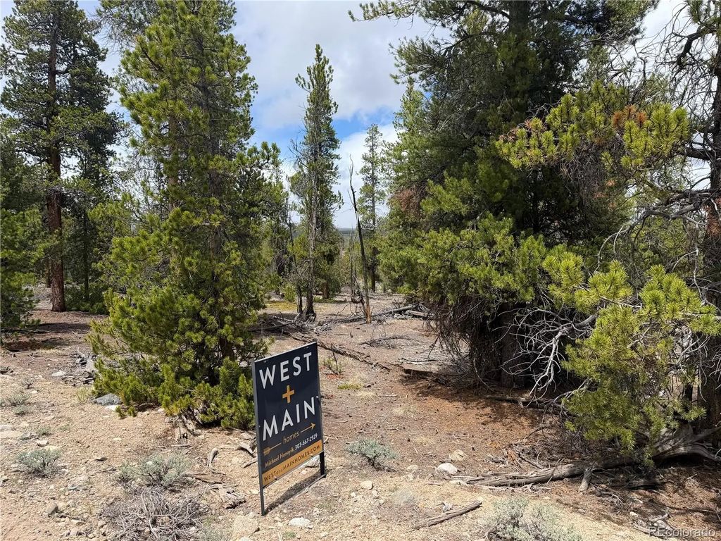 341 Lodgepole Drive, Leadville