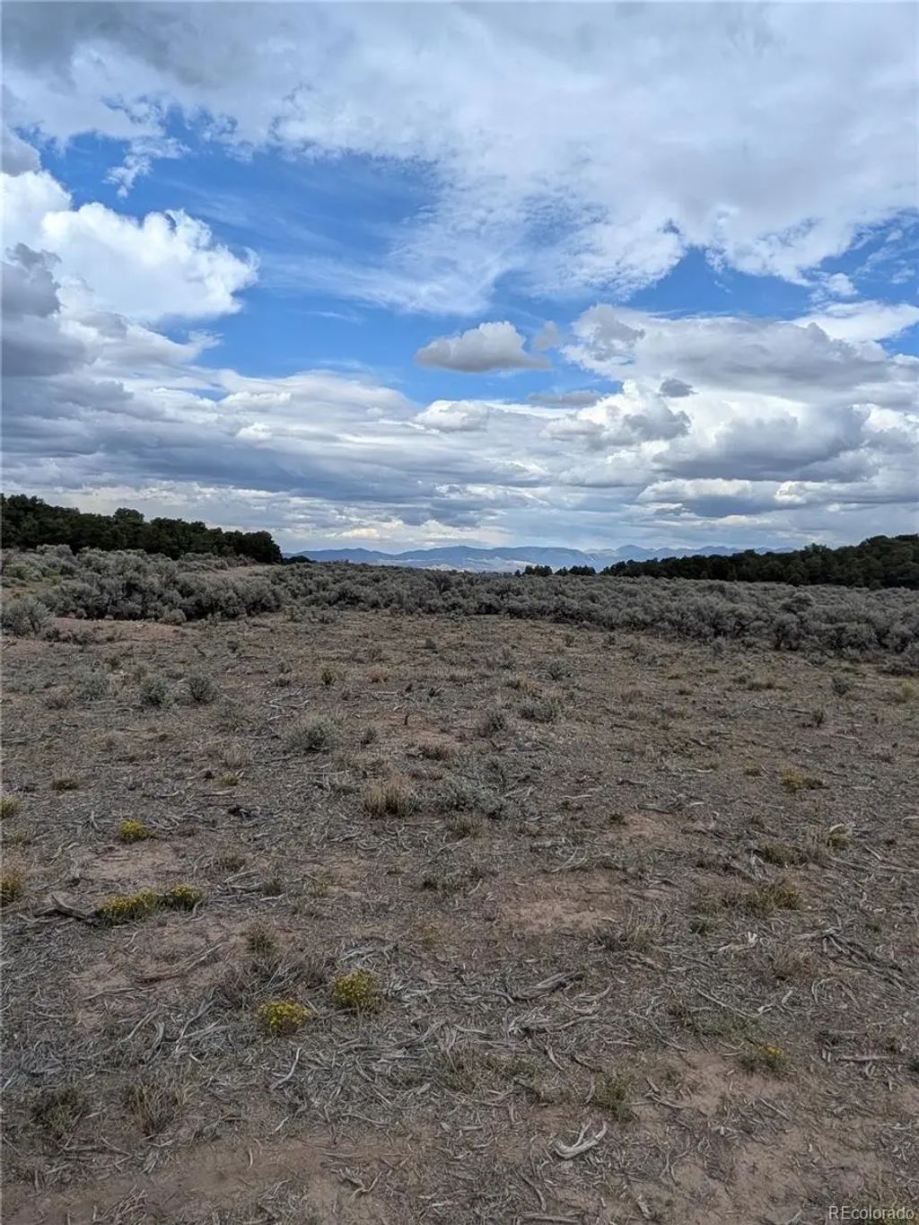 Lot 42 Big Buck Trail, San Luis