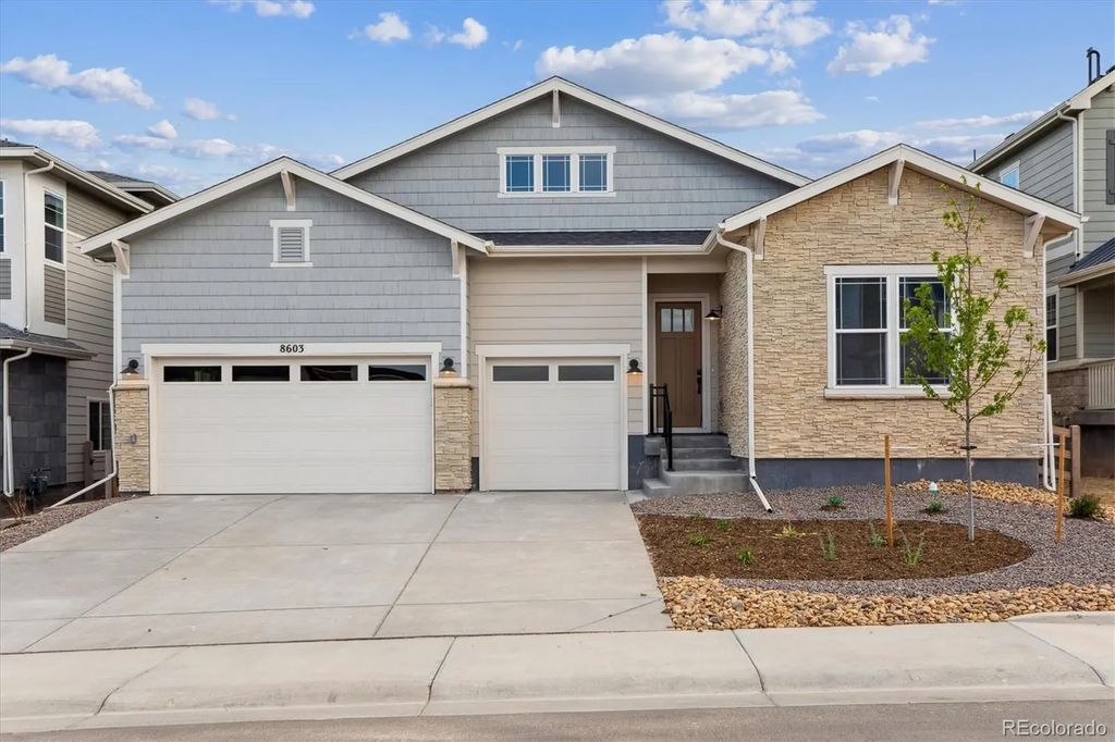 8603 Yellowcress Street, Littleton