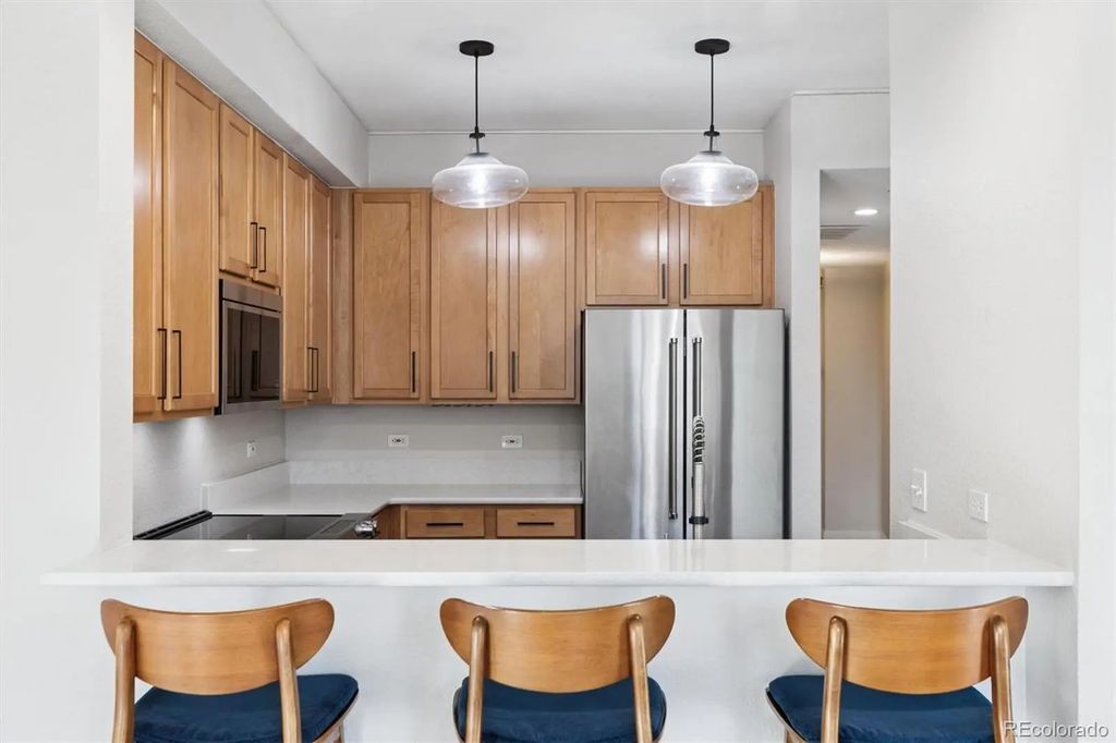 1699 N Downing Street 309, Denver
