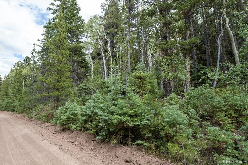 Lot 2238 Buonaventura Lane, Fort Garland