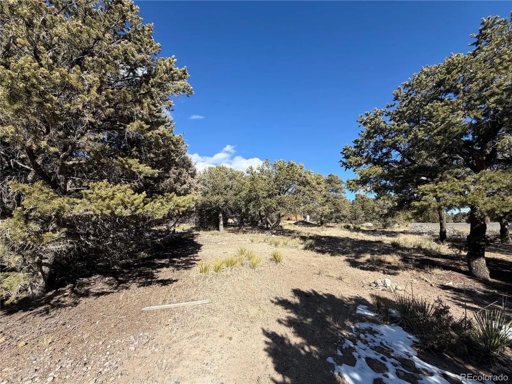 390 Cameron Pass Road, South Fork