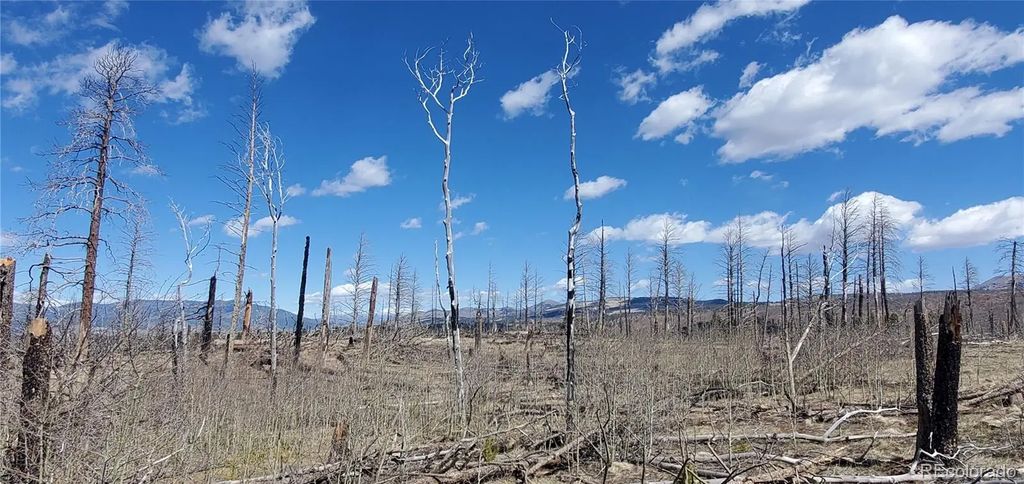 Lot  1228 Granville Loop, Fort Garland