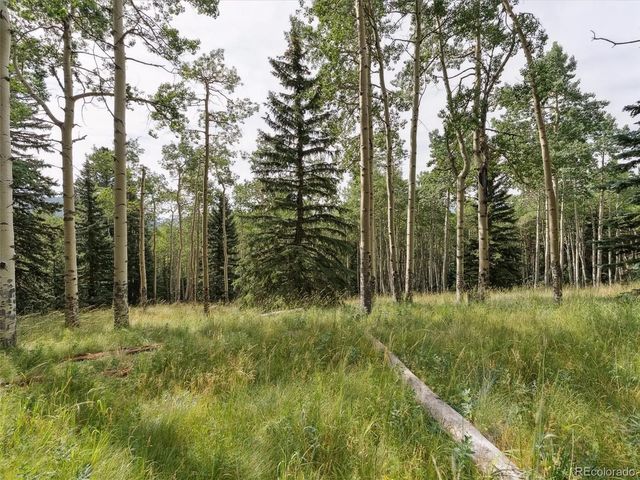 Meadowlark Drive, Evergreen