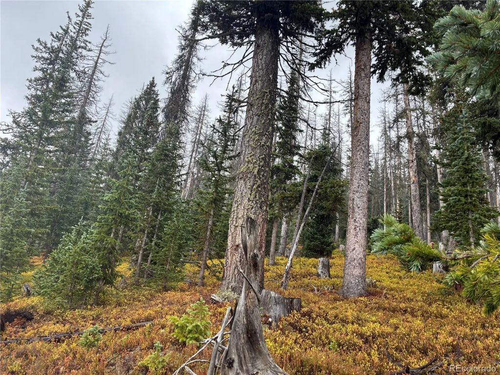 Lot 6539 Schlueter Road, San Luis