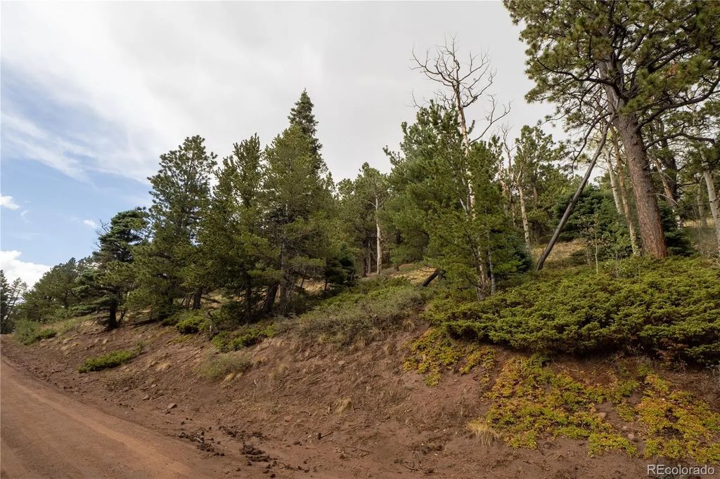 Lot 2797 Moir Drive, Fort Garland