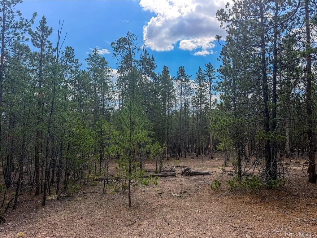 569 Birch Drive, Leadville