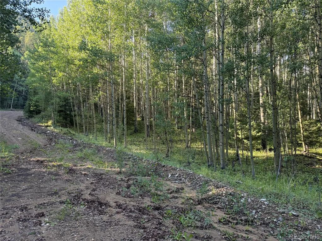 Lot 5331 Hull Road, Fort Garland