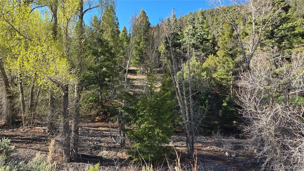 Lot 5475 Joy Road, Fort Garland
