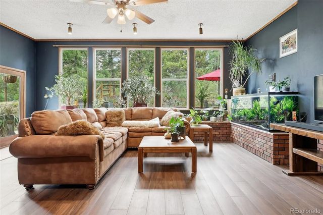 19133 Silver Ranch Road, Conifer